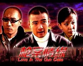 枪案情缘海报