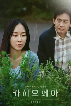 仙后座카시오페아海报