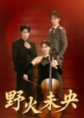 野火未央海报