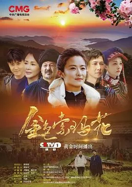 金色索玛花海报