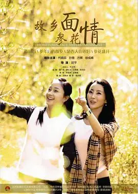 故乡面&middot;参花情海报