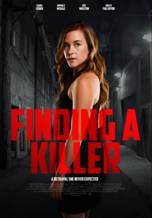 寻找杀手海报