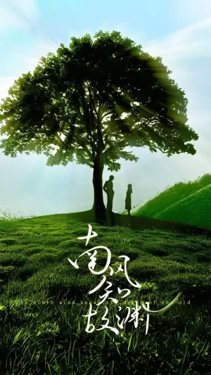 南风知故渊海报