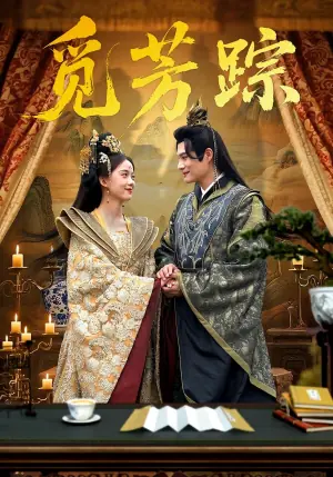 觅芳踪海报