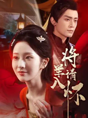 将军请入怀海报