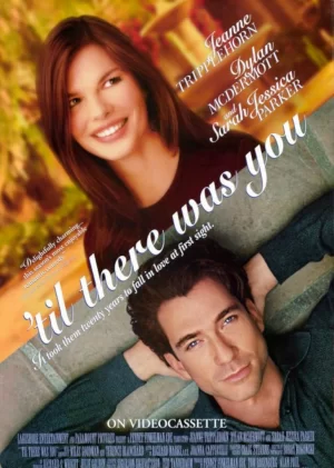 缘分由天(国语)海报