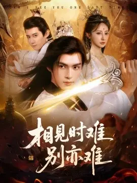 相见时难别亦难海报