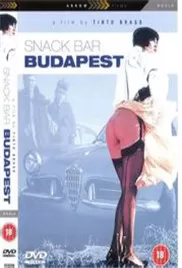 布达佩斯小酒馆海报