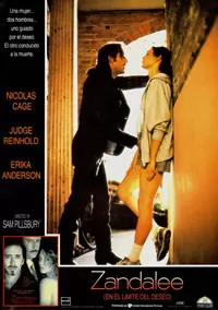 色欲野玫瑰海报