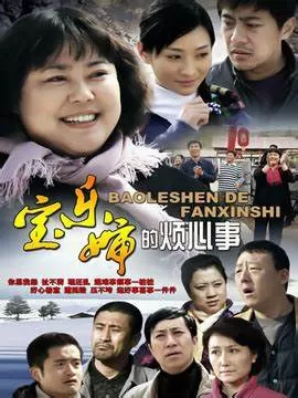 宝乐婶的烦心事海报