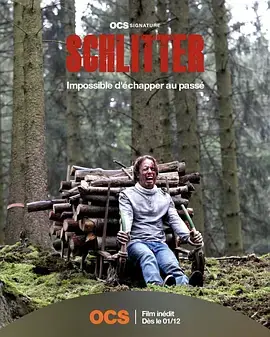 森林恶魔[电影解说]海报