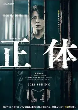 真实身份正体海报