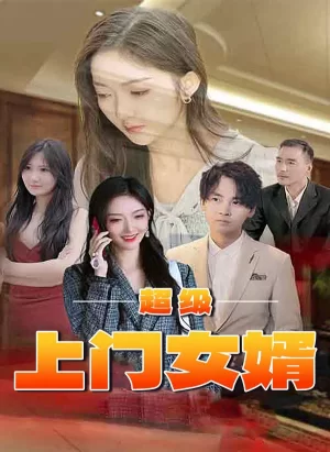 超级上门女婿海报