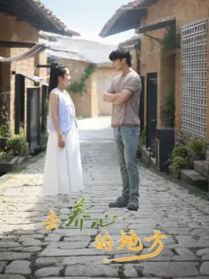 去养心的地方海报