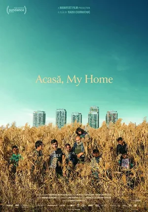 阿卡萨,我的家Acasa-MyHome海报