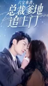 六宝来袭总裁爹地追上门海报