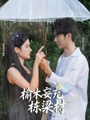 榆木妄充栋梁材海报