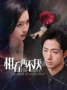相看两不厌海报