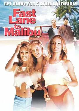 欢乐马里布海报