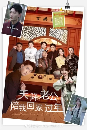 天降老公陪我回家过年海报