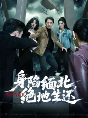 身陷缅北,绝地生还海报