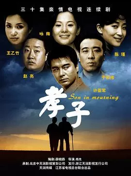 孝子[电影解说]海报