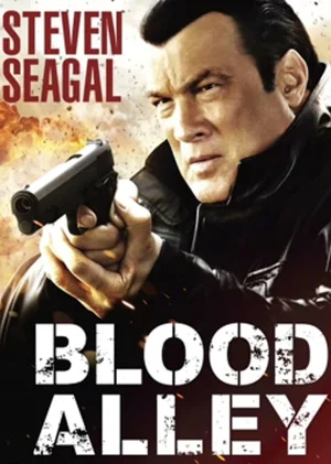 血巷海报
