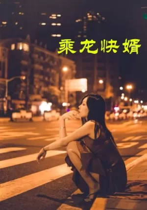 乘龙快婿海报