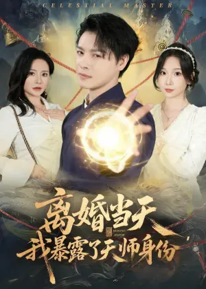 离婚当天,我暴露了天师身份海报