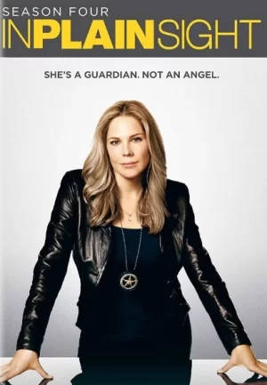 平地风云第四季海报