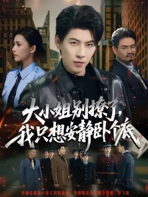 大小姐别撩了,我只想安静卧个底海报