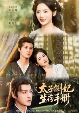 太子侧妃生存手册海报