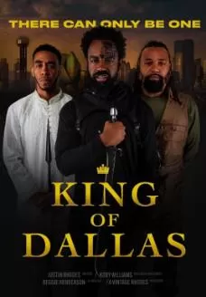 达拉斯之王海报