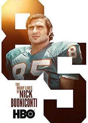 尼克·布尼孔蒂的一生海报