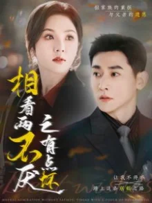 相看两不厌之有点坏海报