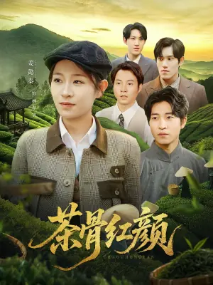 茶骨红颜海报