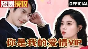 你是我的爱情VIP海报