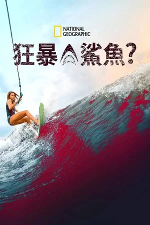狂暴鲨鱼?海报