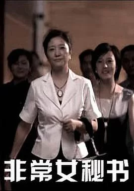 非常女秘书海报