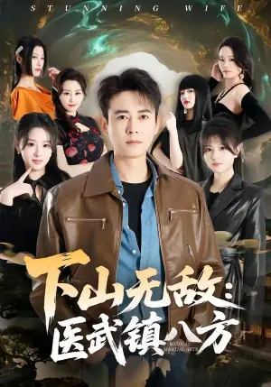 下山无敌:医武镇八方海报