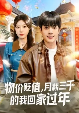 物价贬值,月薪三千的我回家过年海报