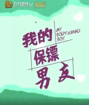 我的保镖男友海报