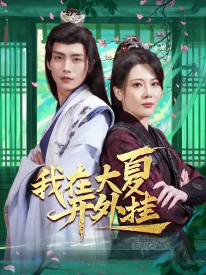 我在大夏开外挂海报