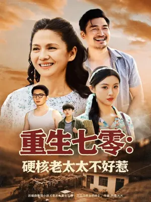 重生七零硬核老太太不好惹海报