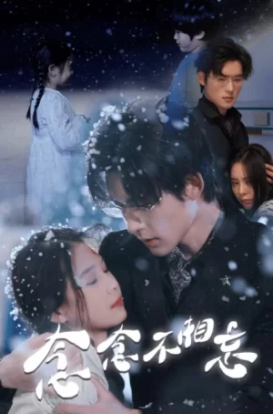 念念不相忘海报