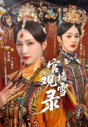 宫墙观雪录海报