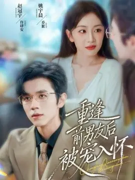 重逢前男友后,被宠入怀海报