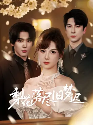 梨花落尽旧梦迟海报