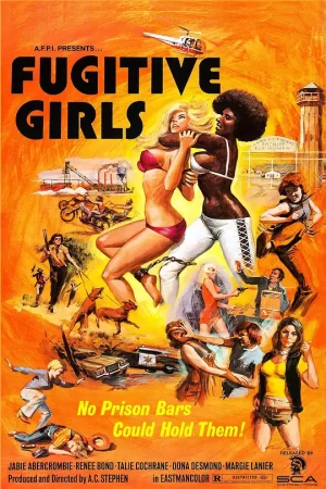 逃犯女孩海报