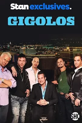 应召男郎第五季海报